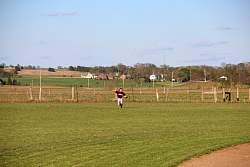 20110429_Dominic_Baseball_360.jpg