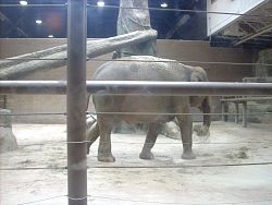 Zoo2010_029.jpg