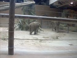 Zoo2010_030.jpg