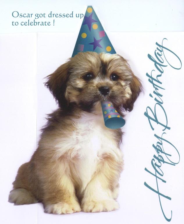 2008_birthday_card_005.jpg