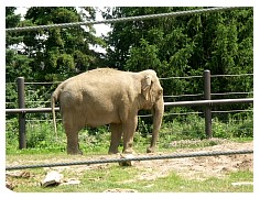 2009_07_03_olivia_zoo_020.jpg