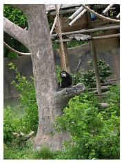 2009_07_03_olivia_zoo_096.jpg